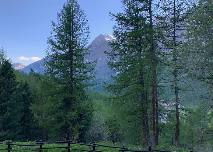 Casa Camas, Wide 2bedroom, Feel The Mountain Apartment *