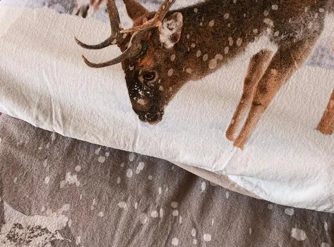 Casa Camas, Wide 2bedroom, Feel The Mountain Apartment *